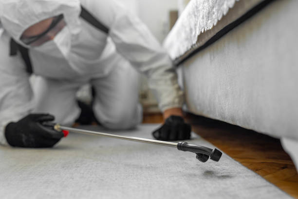 Professional Termite Control technician working in Robert Lee, TX