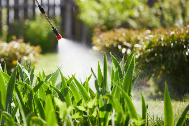 24/7 Emergency Termite Control experts in Robert Lee, TX