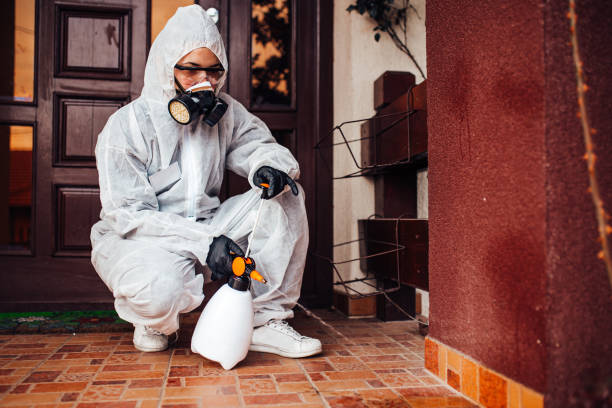 Reliable Termite Control contractor in Robert Lee, TX by Nex Pest Control